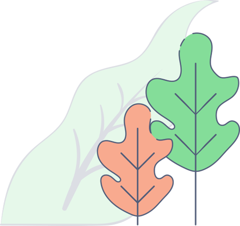 Leaf Image