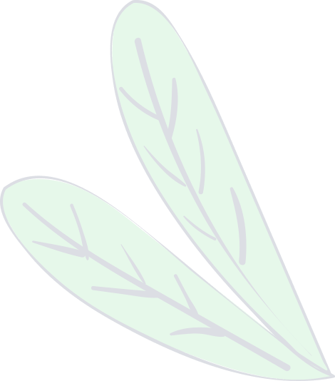 Leaf Image